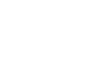 Logo FFI